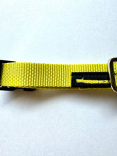 画像をギャラリービューアに読み込む, 漁網リサイクルナイロンショートカラー