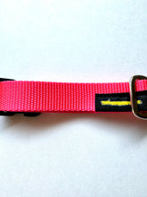 画像をギャラリービューアに読み込む, 漁網リサイクルナイロンショートカラー