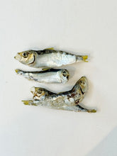 画像をギャラリービューアに読み込む, さっぱ