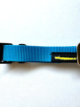 画像をギャラリービューアに読み込む, 漁網リサイクルナイロンショートカラー